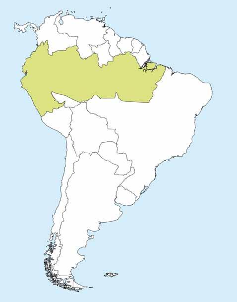 Planificación I Etapa Eje del Amazonas Eje Andino Eje Andino del Sur Eje de Capricornio Eje de la Hidrovía Paraguay - Paraná