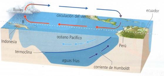 3.- Las aguas oceánicas tienen un gran dinamismo que se manifiesta en forma de olas, corrientes y mareas.