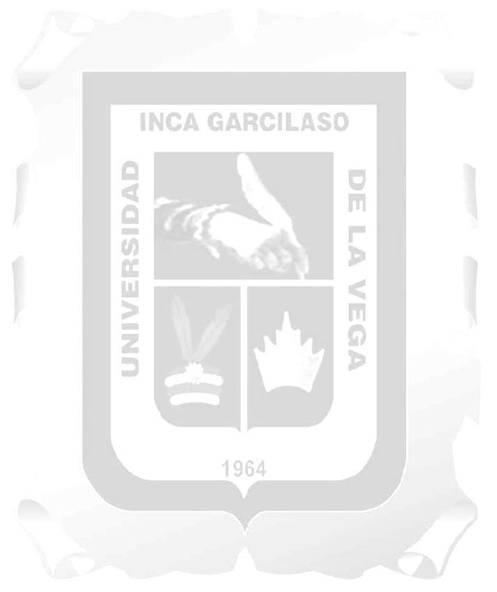 Universidad Inca Garcilaso De La Vega Facultad de Tecnología Médica Carrera de Terapia