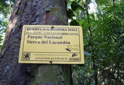 Objetivos del Proyecto Reducir la deforestación, cooperando con comunidades del parque, autoridades nacionales y socios locales Promover la agricultura sostenible Recuperar la cobertura forestal en