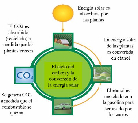La generación de energía a través de biomasa no incrementa las emisiones netas de CO2, ya que las plantas (maíz, caña de azúcar, etc.