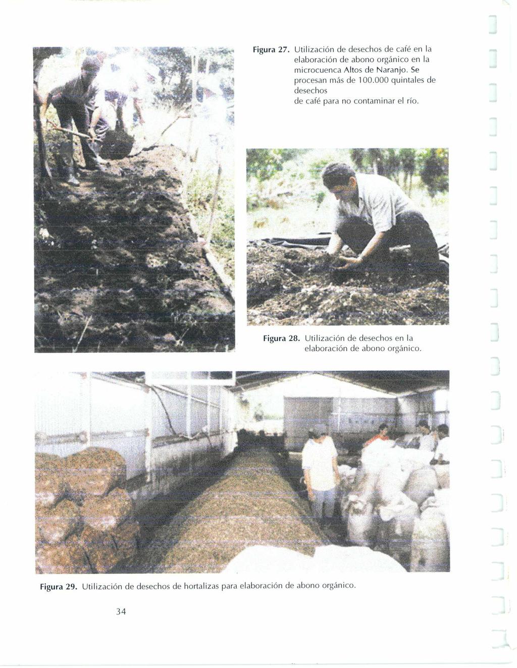 Figura 27. Utilización de desechos de café en la elaboración de abono orgánico en la microcuenca Altos de Naranjo. Se procesan más de 100.