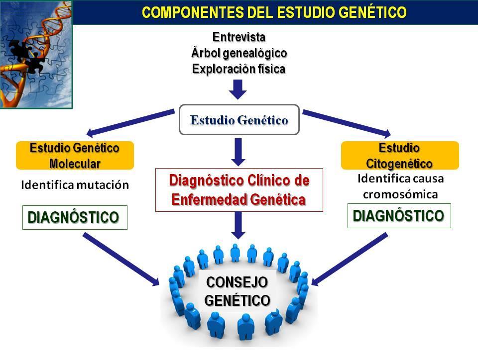 CONSULTORIO GENETICA