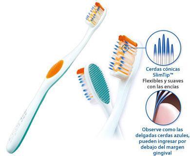 DISEÑO DEL CEPILLO Cepillo de dientes de cerda artificial de nilón, con puntas redondeadas para minimizar las lesiones.
