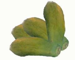 Cuadro 2. Precio promedio semanal Papaya criolla, mediana, de primera (ciento) Precio promedio (quetzales) Variación 583.00 533.33-49.67-8.