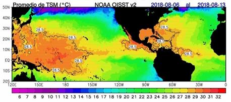 En el Pacíﬁco Ecuatorial, los valores de temperatura superﬁcial del mar (TSM) corresponden a un