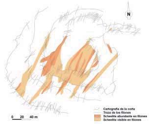 Figura 3. Mapa de distribución de scheelita en los filones de La Parrilla. turación un volumen de 3.000 t/día. Las voladuras eran pequeñas, de alrededor de 2.000 t (6.