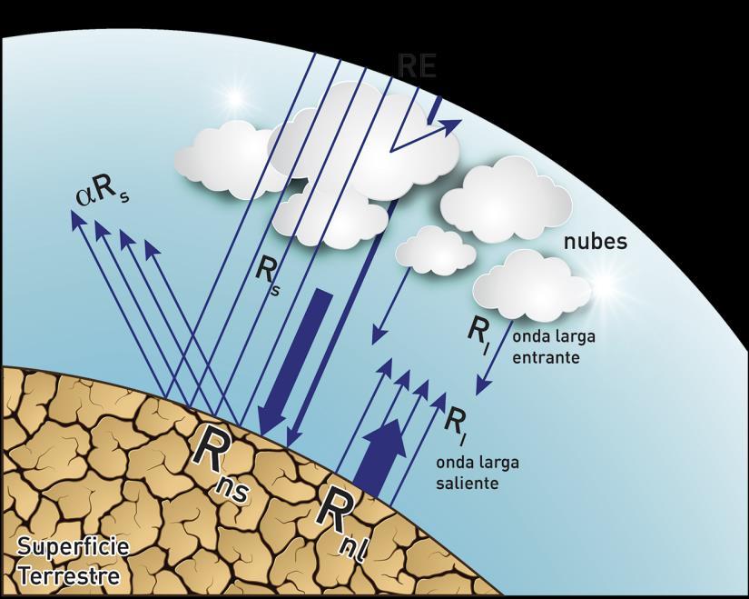Calculo de la radiación neta Rn La radiación neta, Rn, corresponde a la diferencia entre la radiación entrante y saliente de longitudes de onda corta y larga en la superficie terrestre.