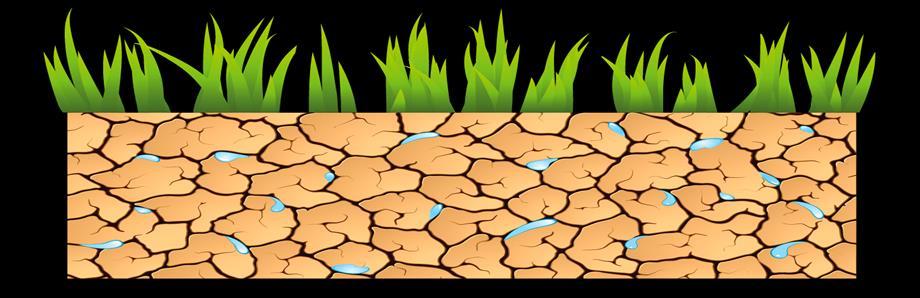 Figura 3: Condiciones concurrentes para que se produzca la evapotranspiracion máxima :Superficie vegetal en un determinado estado de desarrollo, sin limitaciones de agua en el suelo 2.1.