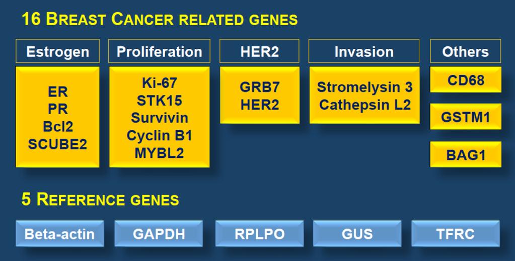 FFPE RT-PCR 250 genes