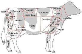 Tipus de carn de boví Vedella de llet, vedella, anoll, encebat i boví major que inclou la vaca, el bou i el toro. Aquestes denominacions van de l animal més jove al més gran.