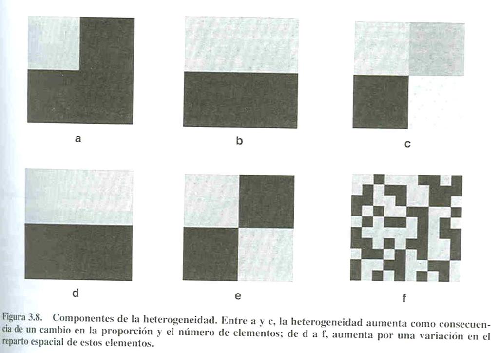 Heterogeneidad describe a todo el mosaico y hace referencia a cuan variable es un paisaje internamente.