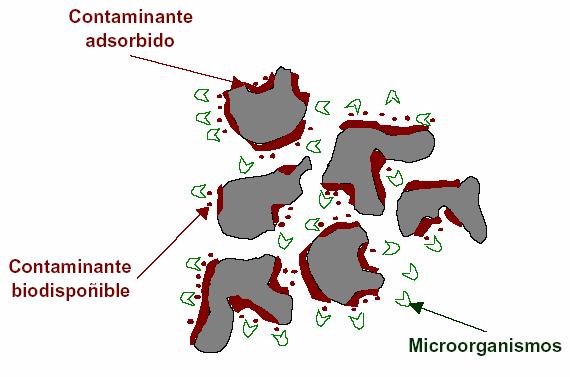 Microorganismos (biocatalizadores) Matriz sólida Hidrocarburo (arena, roca...) adsorbido/adherido Levaduras, bacterias y hongos.