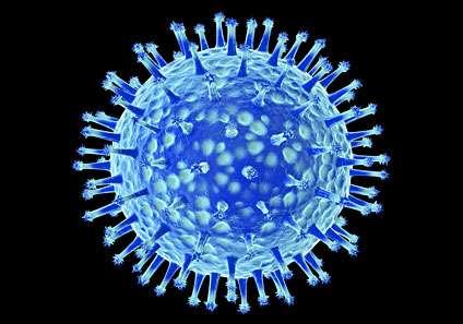 Cepa H5N1 Enfermedad respiratoria