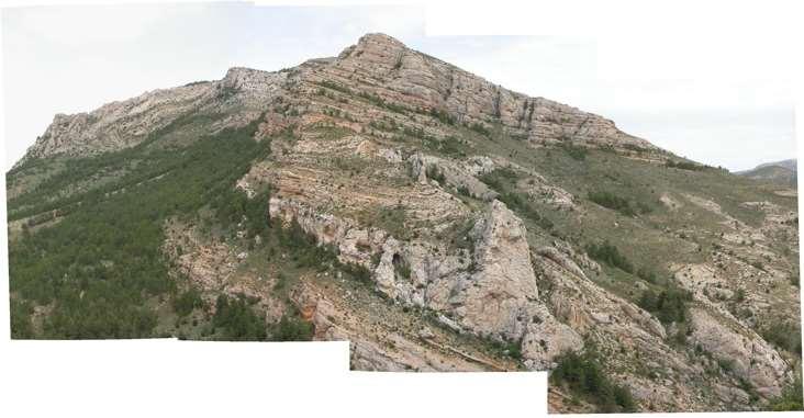 CORDILLERA IBÉRICA Zócalo (Paleozoico del Macizo Ibérico intensamente deformado+buntsandstein- Muschelkalk) Cobertera (la