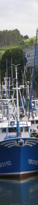 Objetivo general del Plan de Dinamización de las Euskadiko Arrantza Azokak La unificación de las ferias pesqueras y su articulación en torno a un producto global con el protagonismo del propio sector