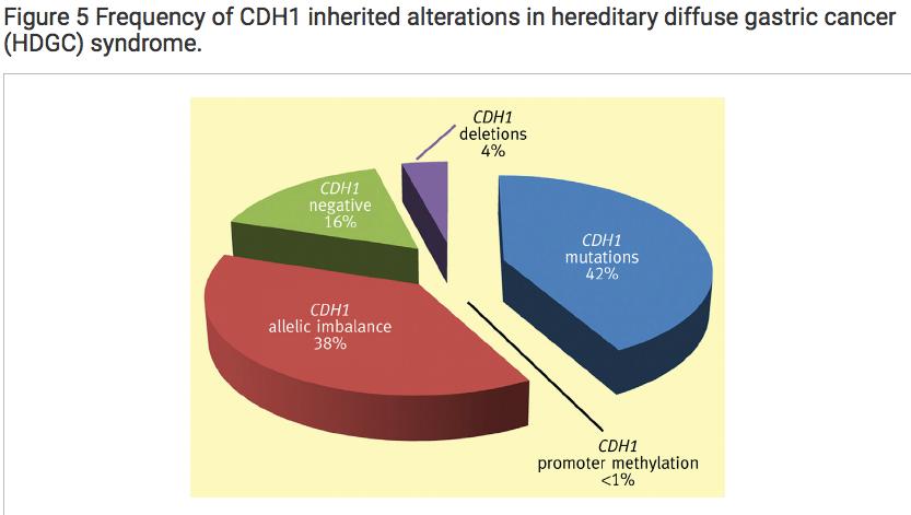 CG Difuso Hereditario La inactivación del gen CDH1 causado por: Carneiro F et