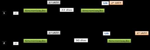 Figura 3: Protocolos de Resincronizacion en los días 22 y 30 después de la primer IATF Este tipo de manejo elimina la necesidad de observación de celo después de la IATF y reduce el número de toros