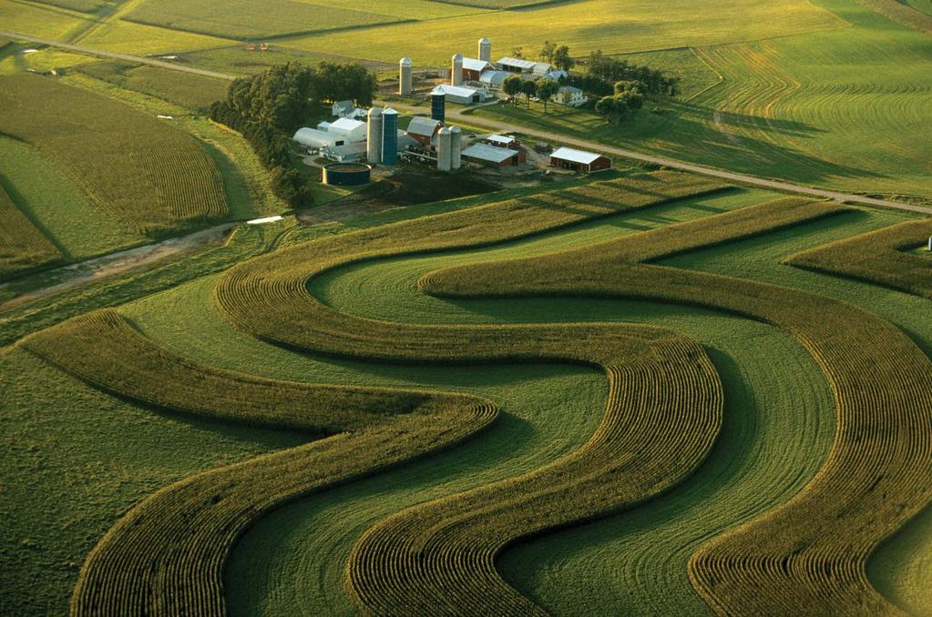 Rotaciones de cultivo: un aspecto importante en el rendimiento del maíz.