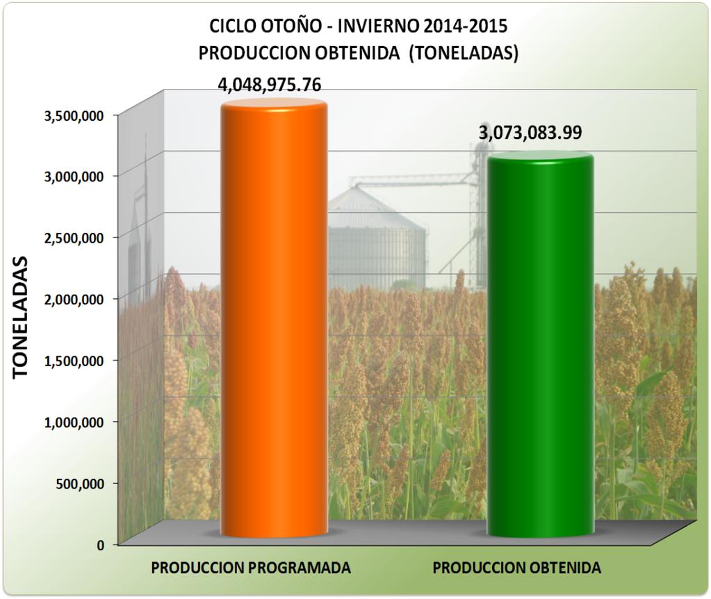 En cuanto a lo estimado en super cie se sembró el 98%. El cultivo de maíz grano rebaso las 900,000 toneladas.