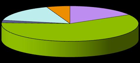 4 Equipaments més consumidors, en percentatge Mes Equipaments 2005 Equipaments 2007 Menys Font: Ajuntament C. Educatius 24,6% C.