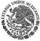 PODER EJECUTIVO DEL ESTADO DE SAN LUIS POTOSI INSTITUTO DE ATENCION AL MIGRANTE UNIDAD DE TRANSPARENCIA COORDINACION DE ARCHIVOS San Luis Potosí, S.L.P. a 31 de Enero de 2013 PROGRAMA DE DESARROLLO