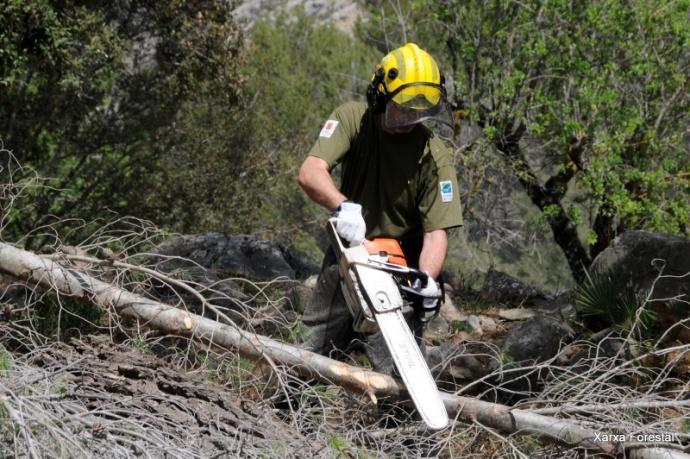 PREVENCIÓ D INCENDIS FORESTALS 2014 Plans comarcals de prevenció d incendis forestals: creació i manteniment d àrees de silvicultura preventiva a les