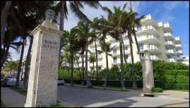 Arte & Cultura The Palm Beaches es un paraíso con un sinfín de actividades y pasatiempos.