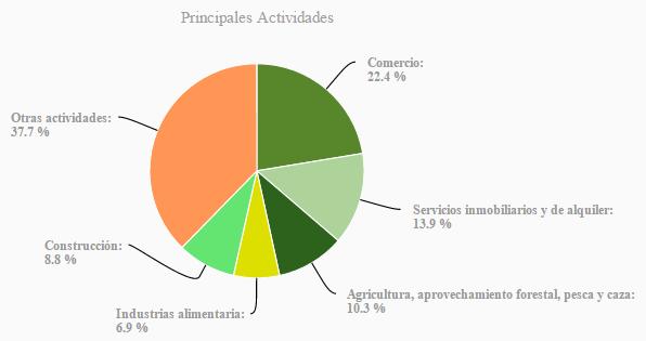 Entre las principales actividades se encuentran: comercio (22.4%); servicios inmobiliarios y de alquiler de bienes muebles e intangibles (13.