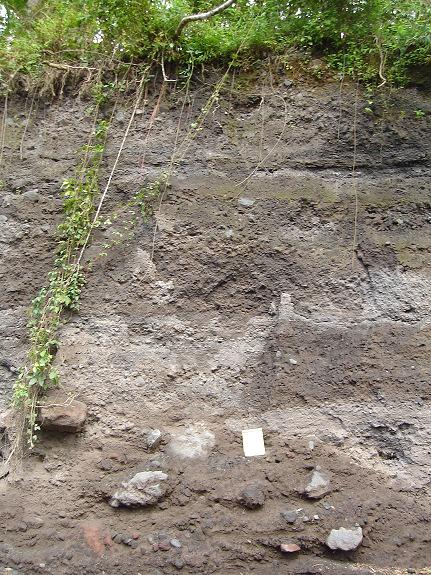 En una segunda exposición rocosa se presentan la composición de la roca desde el techo a la base de capa de suelo limoso combinado con arena, seguida de arena fina de 3m de espesor, depósito de suelo