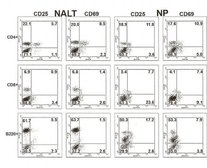 Figure 3 Flow cytometric analysis of activation marker expression on nasal-associated lymphoid tissue (NALT) and nasal passages (NP) lymphocytes.