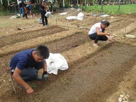 Alumnos de la institución educativa realizando la siembra