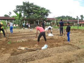 Alumno realizando siembra de las semillas de hortalizas y