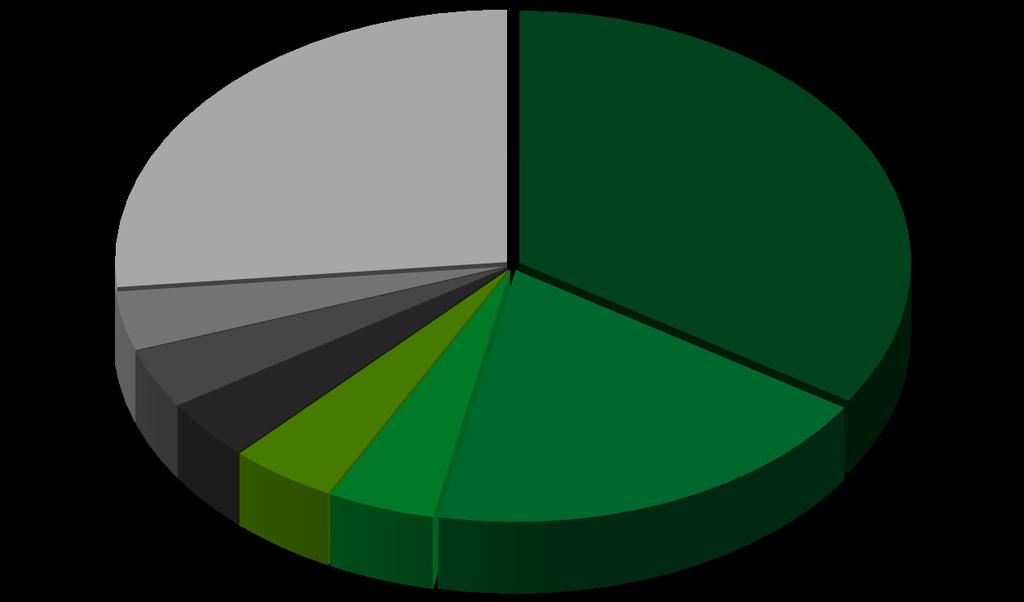 Investigaciones iniciadas por país (1995 - ) Otros países 27%