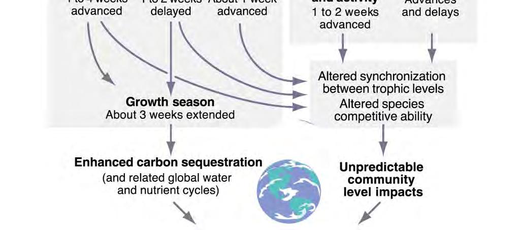 habilidad competitiva de las especies Incremento del secuestro de carbono (y ciclos globales del nitrógeno y agua) Efectos impredecibles en la comunidad Alteraciones en la estructura y el