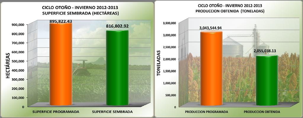 Agricultura Avance de Siembras y Cosechas del Estado Página 2 Ciclo Otoño - Invierno 2012/2013 El ciclo Otoño - Invierno 2012-2013 tiene un 91% de superficie sembrada respecto a su programa y se ha