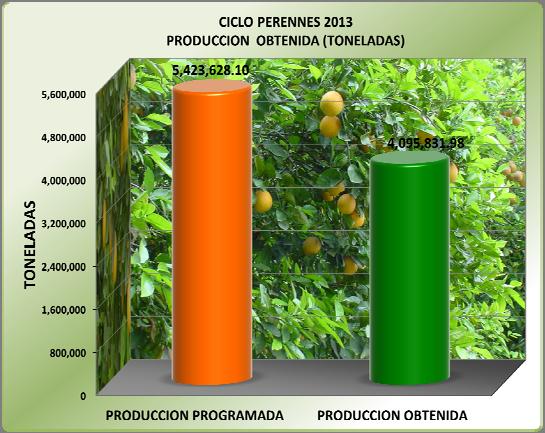 5 Ton por hectárea, otro cultivo muy importante en el estado es la naranja que tiene un avance en la producción obtenida de 326,576 Ton en donde Tamaulipas es uno de los principales estados