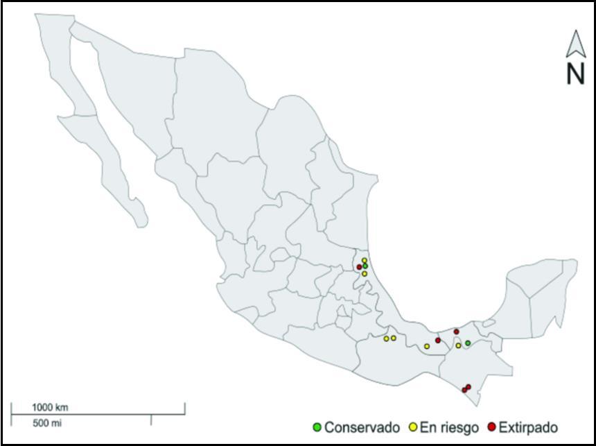 Figura 3. Mapa que muestra la distribución y el estado de conservación de las poblaciones de Musa ornata Roxb. en México.