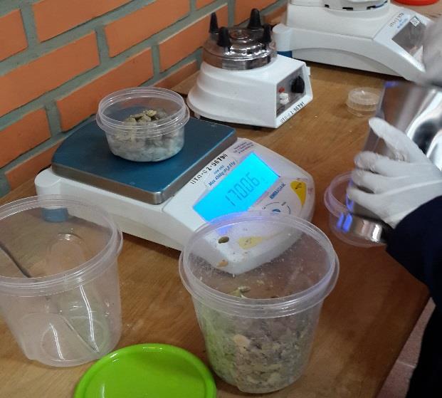 Desnutrición infantil en el departamento de Oruro - Breve diagnostico e identificación y diseño de alimentos complementarios pensados en el haba.