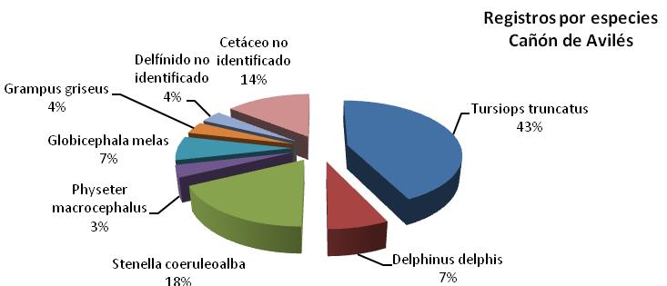 Orcinus orca 3% Cetáceos no identificados 10% Physeter macrocephalus 3% Delphinus delphis 2 Phocoena phocoena 7% Globicephala melas 2 Stenella coeruleoalba 14% Tursiops truncatus 2 Figura 3: