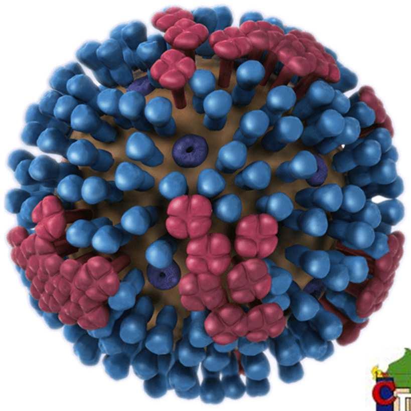 Epidemiologia de la Influenza Fuente: Representación grafica