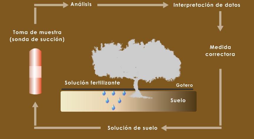 Cuadro 2.- Esquema operativo del Seguimiento Nutricional ANÁLISIS DE AGUA DE RIEGO Es la base de la fertirrigación.