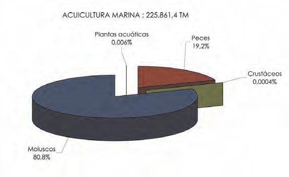 861,4 TM Acuicultura de Zona Intermareal: 4.