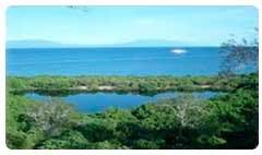 pagar e n l o s counters l Consejo Gobierno Galápagos PM: Isabela: Punta Vicente Roca Situada en la costa norte occintal la isla compren dos ensenadas distintas, esta bahía gran tamaño posee una vida
