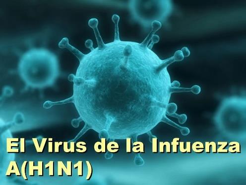 QUÉ SERÁ LA MEMORIA INMUNOLÓGICA? ANALICEMOS EL SIGUIENTE CASO: Antonia se enfermó de un virus llamado H1N1, o también gripe.