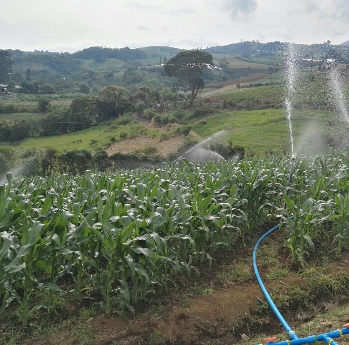 Inder invirtió en el Territorio Turrialba-Jiménez más de 500 millones para garantizar agua de riego La iniciativa es una realidad gracias al acuerdo firmado entre el Instituto de Desarrollo Rural
