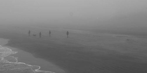 SELECCIÓN OFICIAL CORTOMETRAJE LATINOAMERICANO 66 [24] FICVALDIVIA NIEBLA PREMIERE MUNDIAL WORLD PREMIERE La niebla tiene un efecto curioso sobre el cine.