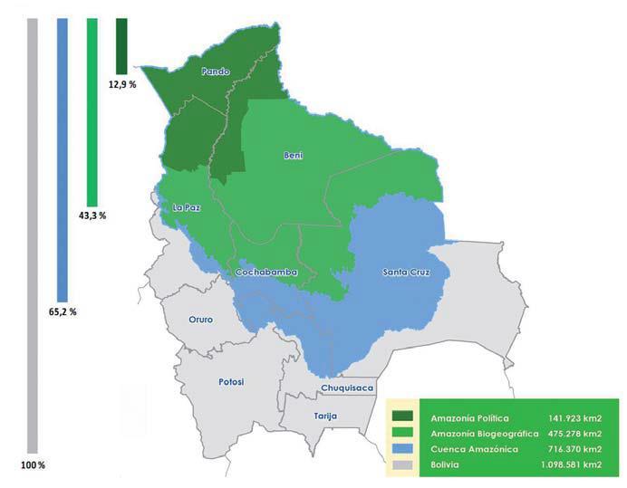 AMAZONÍA BOLIVIANA Reducir entre el año 1990 al 2015 la mortalidad materna en tres cuartas partes: Meta Bolivia para el 2015: 104 muertes maternas por 100.000 n.v. Situación 1989: 416 Muertes maternas por 100.