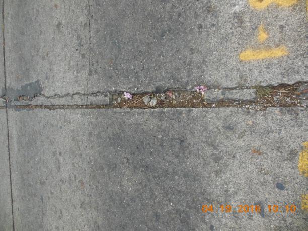 Deterioros del pavimento de concreto hidráulico en los tramos