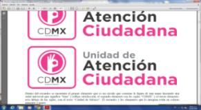 DELEGACIÓN CUAUHTÉMOC Folio: Clave de formato: TCUH_API_3 TRÁMITE Autorización del Programa Interno de Protección Civil para Unidades Hospitalarias Ciudad de México, a de de Director (a) de